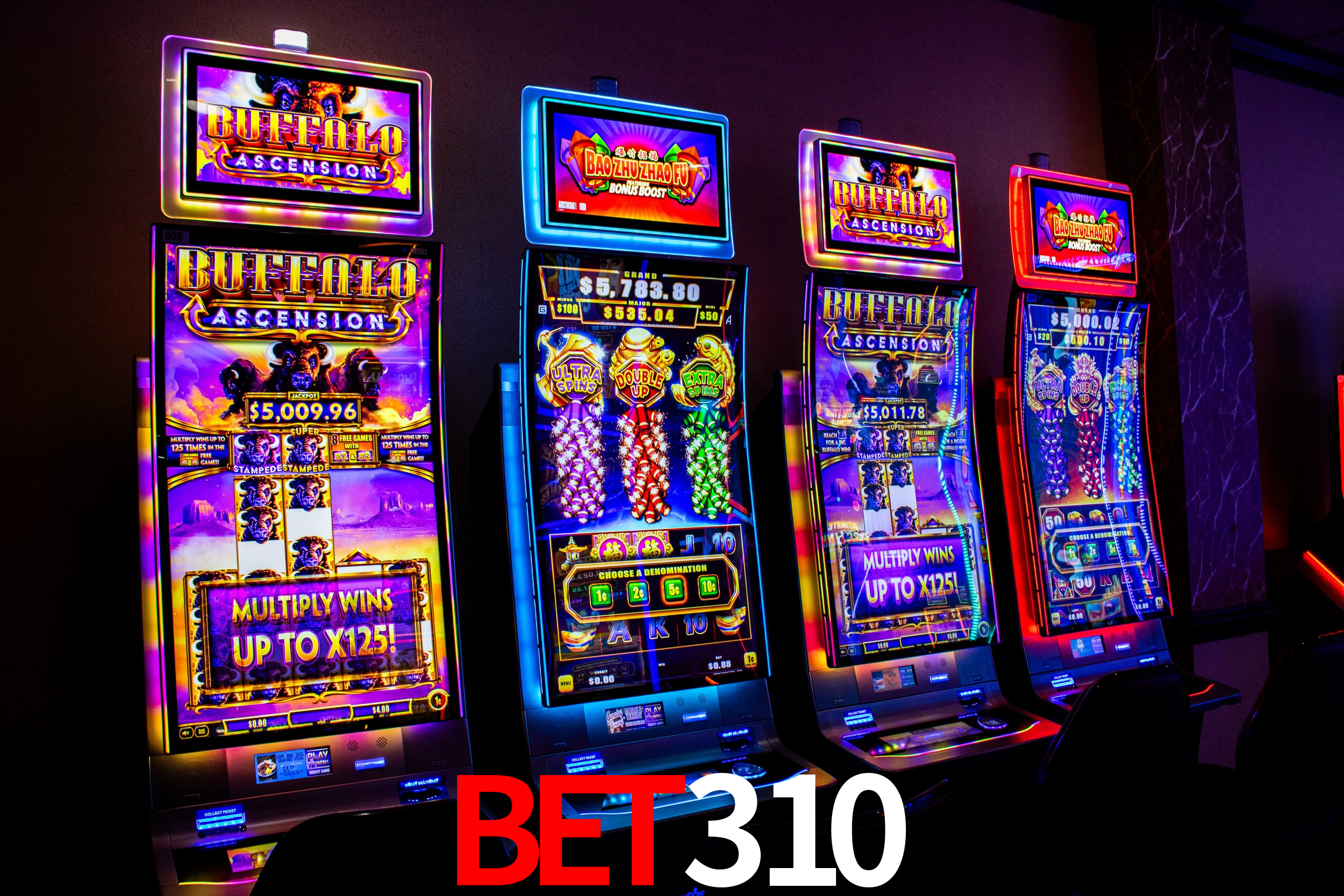 bet310 app